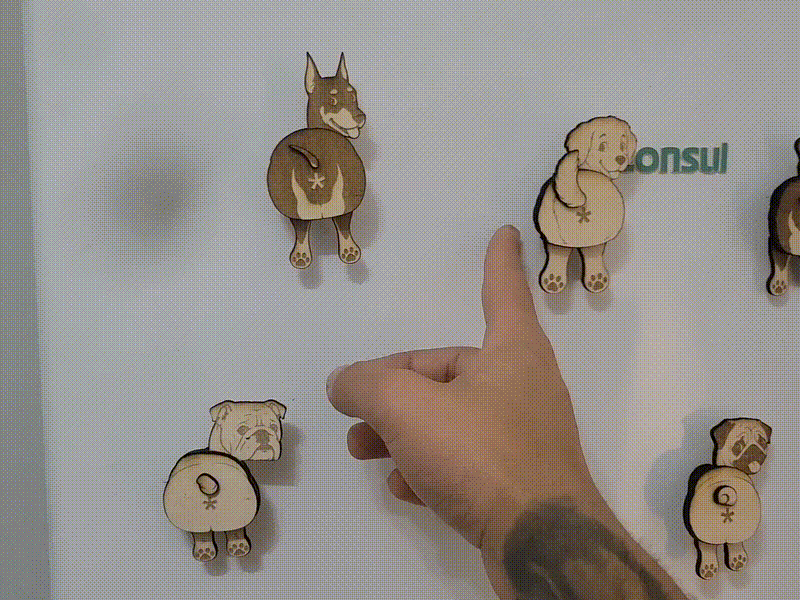 Wooden Dog Fridge Magnets