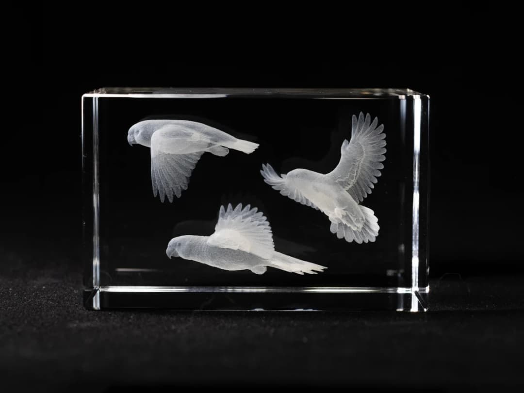 3D Internal Engraving - Crystal Block with 3 Amazon Parrots